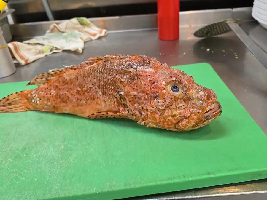 Svježa škarpina na dasci prije pripreme
