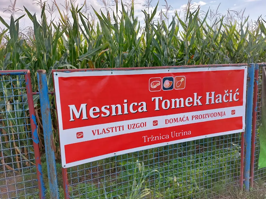 Natpis Mesnica Tomek Hačić, vlastiti uzgoj, domaća proizvodnja, na ogradi uz kukuruzište