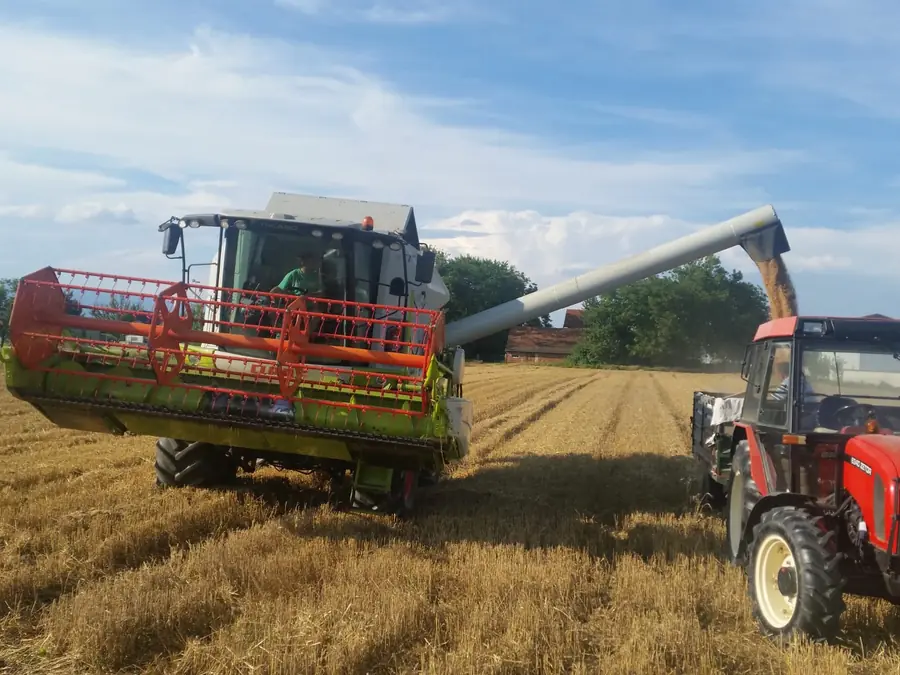 Kombajn i traktor u žetvi na obiteljskom polju